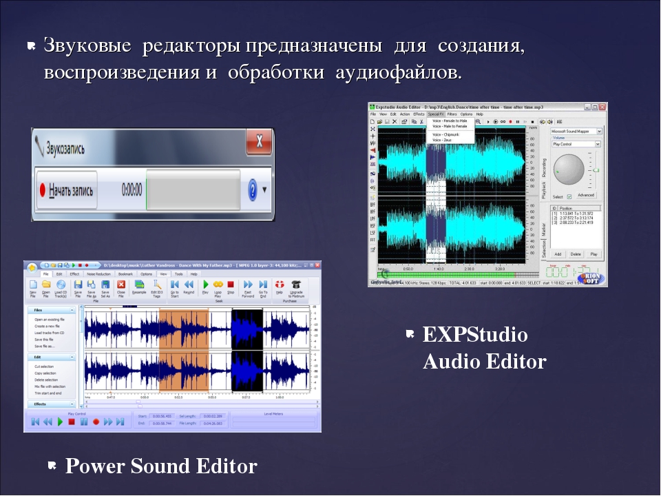 Звуковой редактор. Звуковые редакторы. Программы обработки звука. Программное обеспечение для обработки звуковых файлов. Программы для обработки звуковой информации.