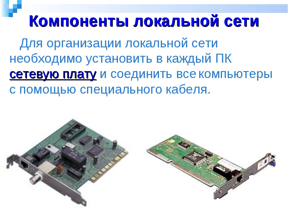 Компоненты подключения к сети компьютера за которым вы выполняете лабораторную работу