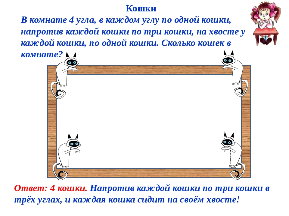 Каждые четыре. В комнате 4 угла в каждом углу по кошке. В комнате 4 угла в каждом углу сидит кошка. 4 Кошки в комнате. Кошки в комнате по углам.