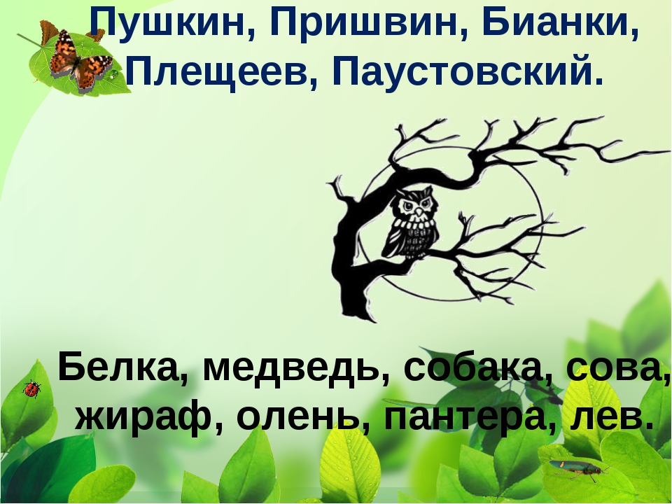 Паустовский бианки и пришвин. Бианки презентация 2 класс. Рассказы Бианки для 2 класса. Заяц на дереве Бианки 2 класс. Бианки Сова рисунок к сказке.