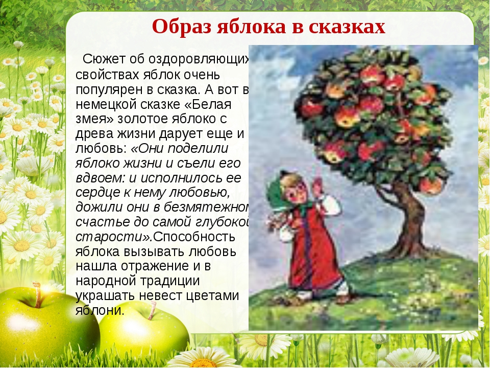 Презентация яблоня. Сказка яблоко. Яблочко сказка. Сказки про яблоки для детей. Яблоко информация.