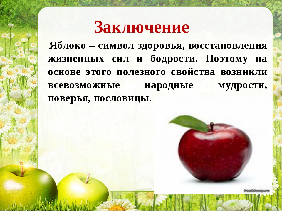Какое яблоко в земле растет. Интересные факты о яблоках. Образ яблока в литературе. Факты о яблоне для детей. Яблоко информация.