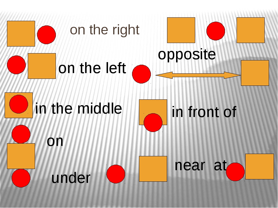 A little to the left. Предлоги в английском языке opposite. Предлоги в английском языке in Front of. Предлог in Front of. Предлоги места in Front of.