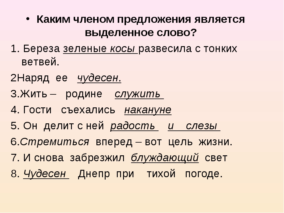 Каким членом предложения является приложение