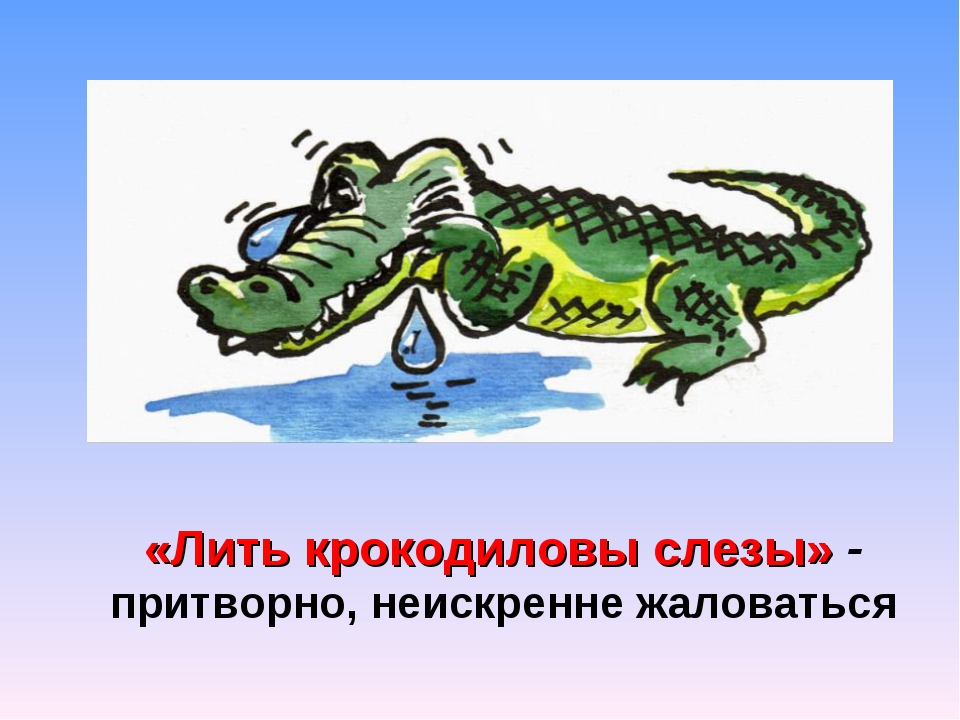 Выражение крокодиловы слезы означает лживую основная мысль. Крокодильи слезы фразеологизм. Фразеологизмы про крокодила. Крокодиловы слёзы. Крокодиловы слёзы значение фразеологизма.