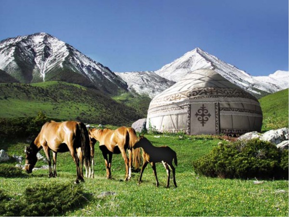 Мен көркем. Джайлау в Казахстане. Юрта лошади. Культурное наследие Кыргызстана. Жаз.