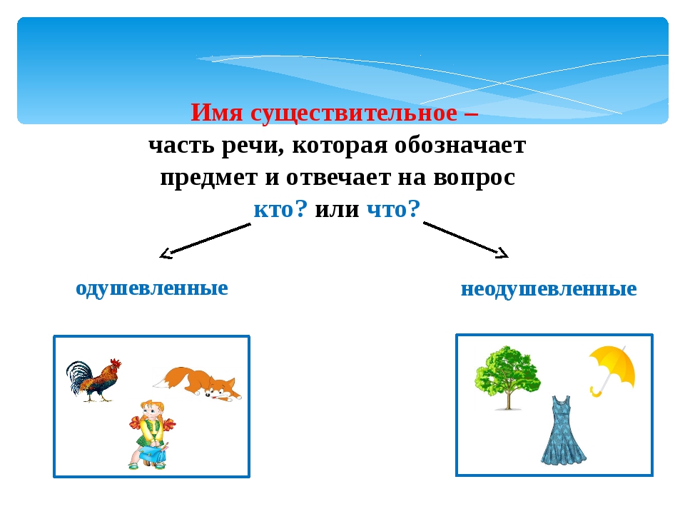 Что обозначает имя существительное. Что такое существительное?. Имя существительное 2 класс правило. Имя существительное обозначает предмет. Существительное как часть речи.