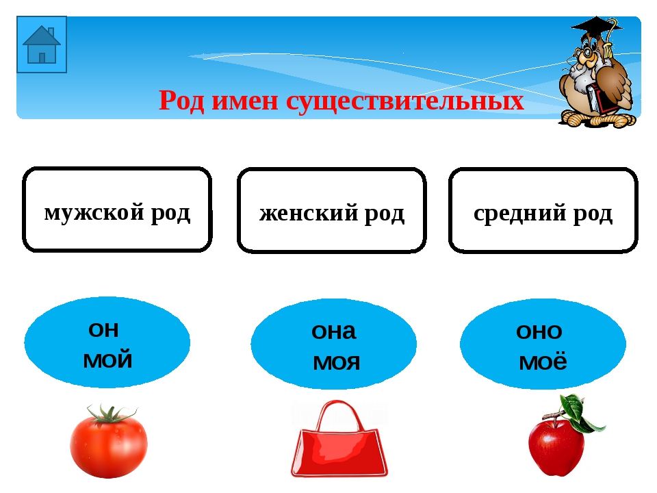 Имя существительное опорная схема