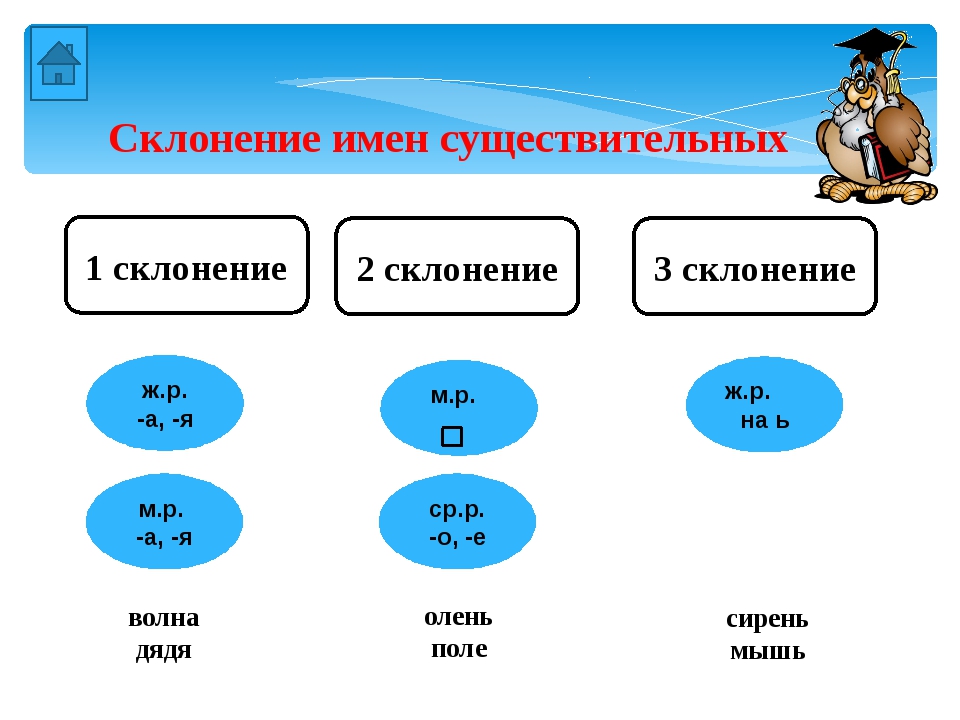 Имя существительное опорная схема