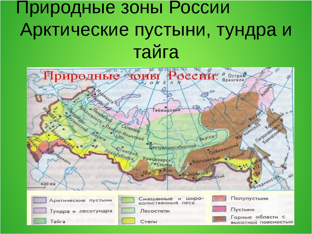 Какая природная зона является переходной. Зона смешанных и широколиственных лесов на карте России. Лесостепи на карте России природных зон. Географическое положение природных зон России на карте. Зона тайги смешанных и широколиственных лесов на карте.