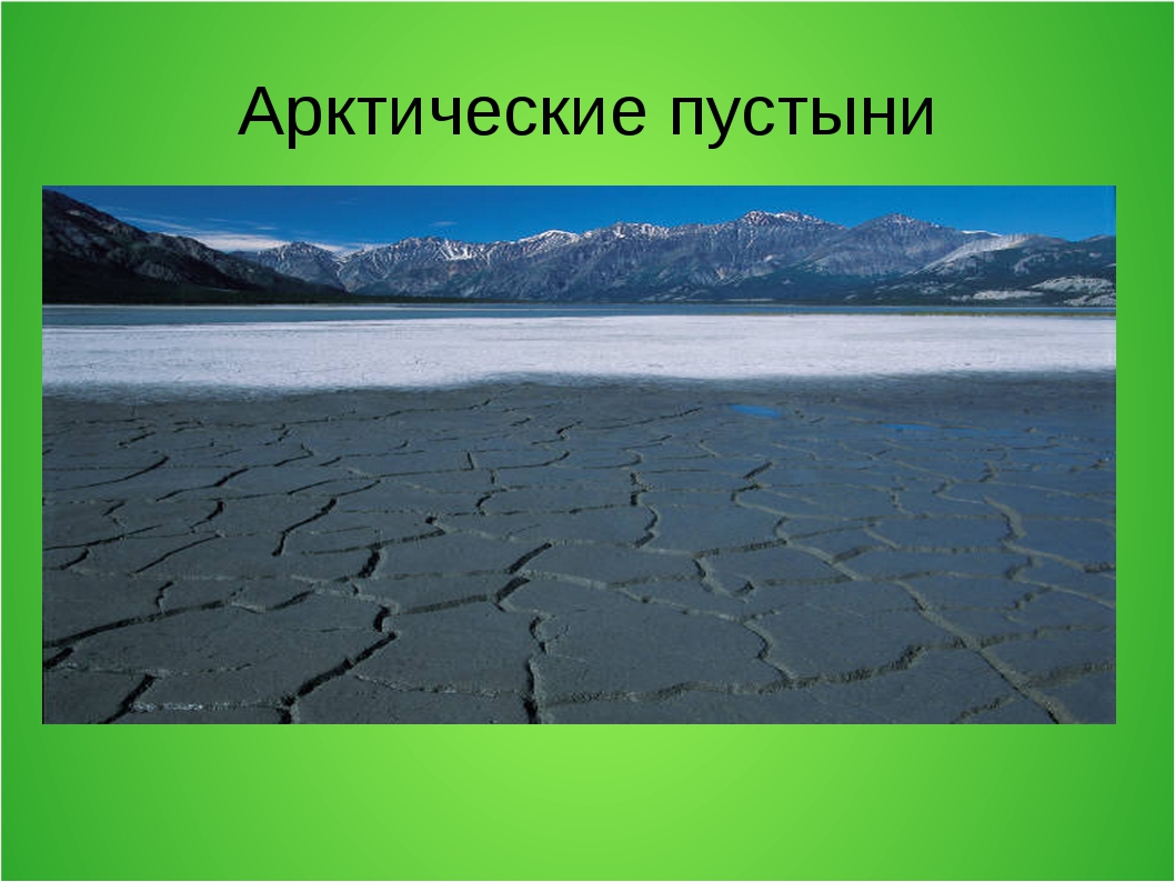 Почвы арктических пустынь в евразии