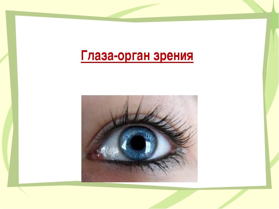 Темы глазки. Глаза орган зрения. Орган зрения презентация. Глаза орган зрения 3 класс. Глаз и зрение презентация.