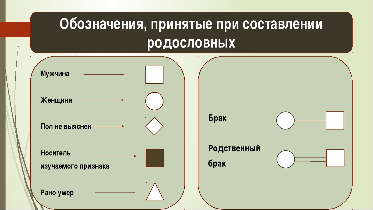 Генетика человека биология 10 класс презентация