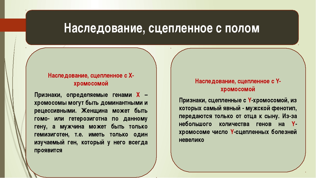 Объясните что такое наследование сцепленное. Актуальность темы наследование признаков сцепленных с полом. Характерные черты признаков сцепленных с х-хромосомой. Сцепленное наследование генов. Признаки сцепленные с ч хромосомой.