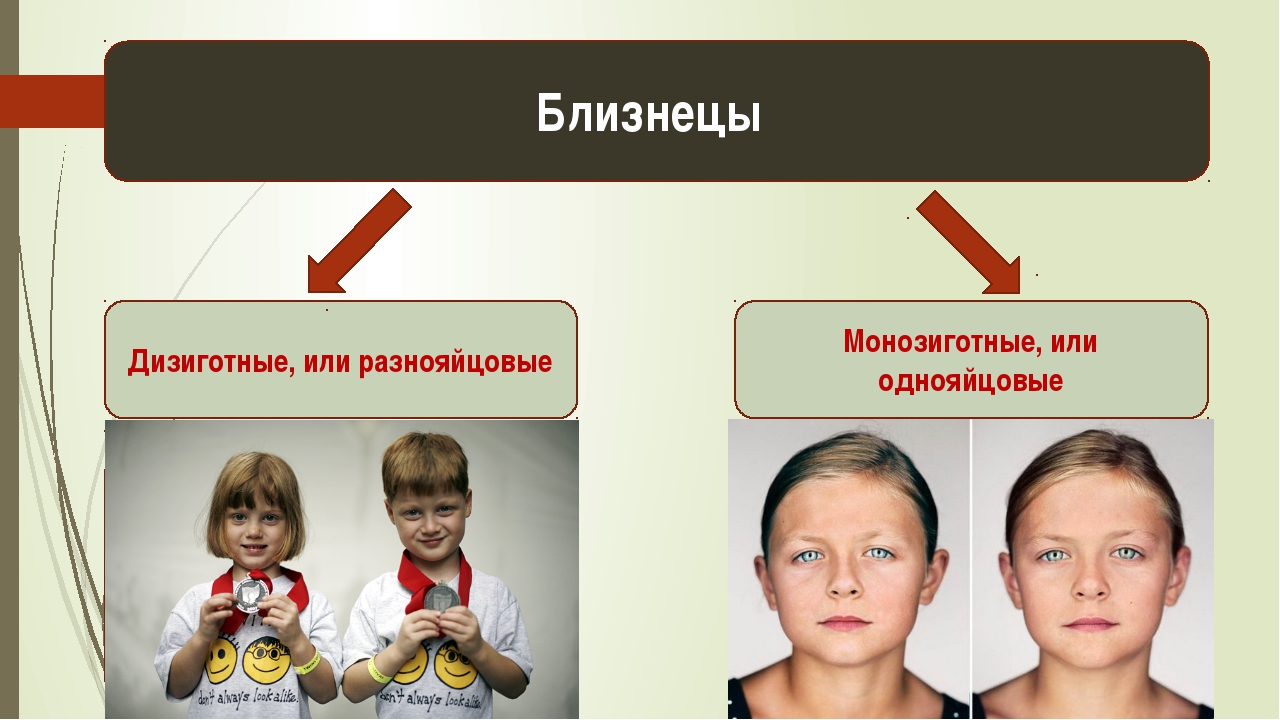 Близнецы презентация 11 класс