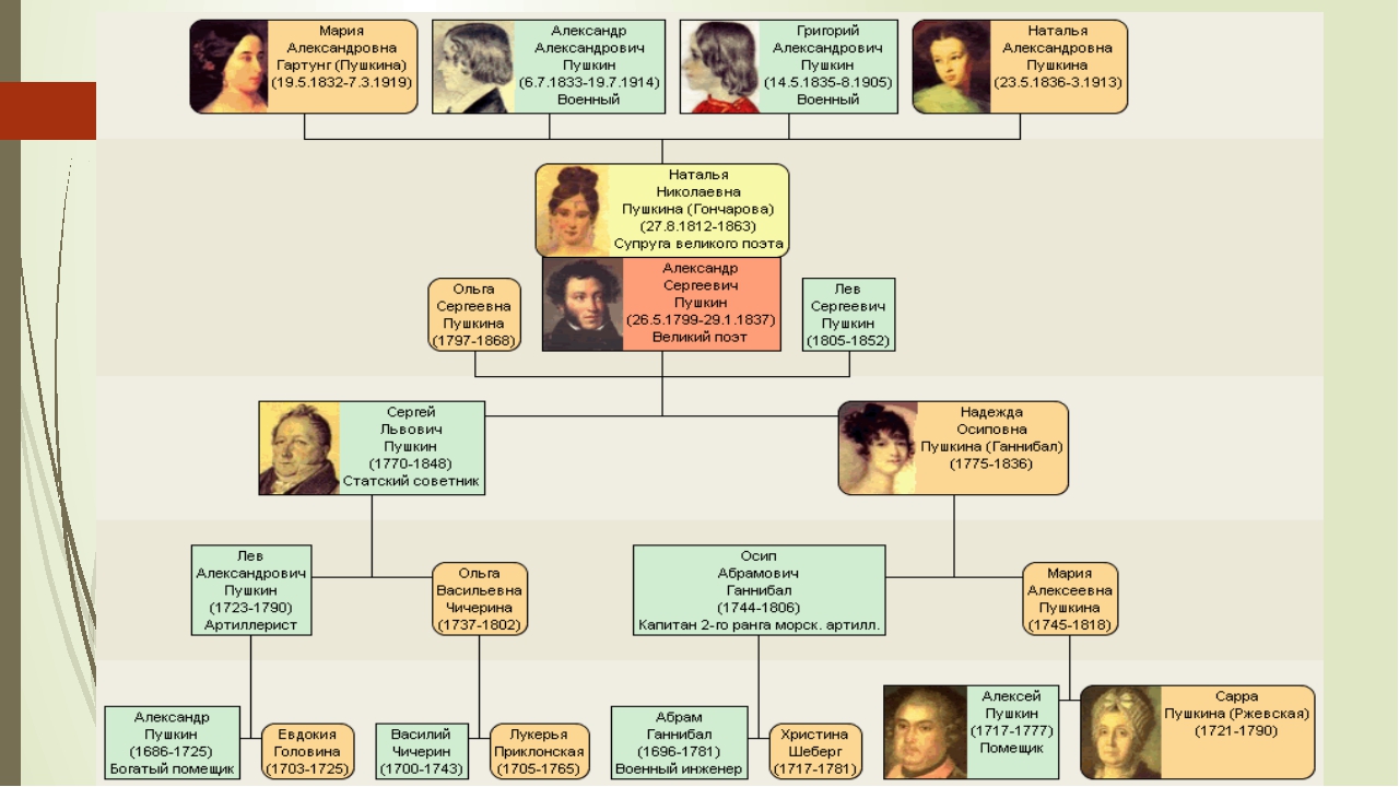 Родословная пушкина. Родословная Пушкина генетика. Генеалогическое дерево Пушкина Александра Сергеевича. Александр Сергеевич Пушкин родословная линия. Династическое Древо Пушкина.