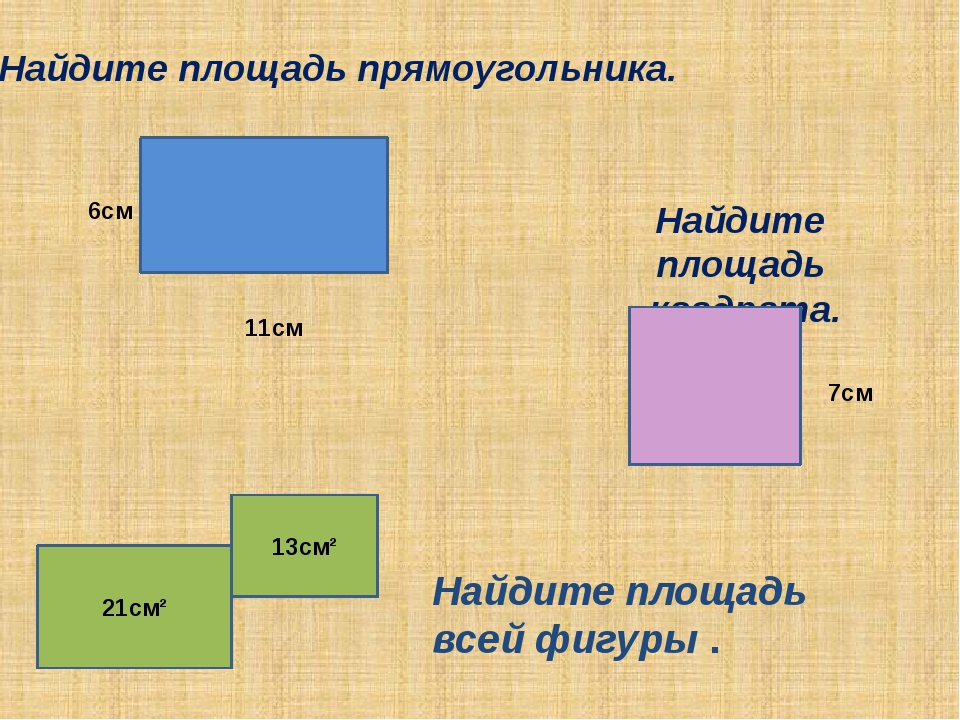 Презентация площадь квадрата и прямоугольника