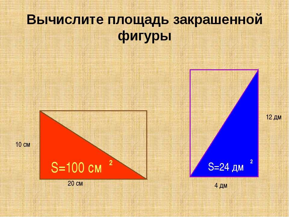 Найдите площадь закрашенного прямоугольника. Площадь многоугольника.