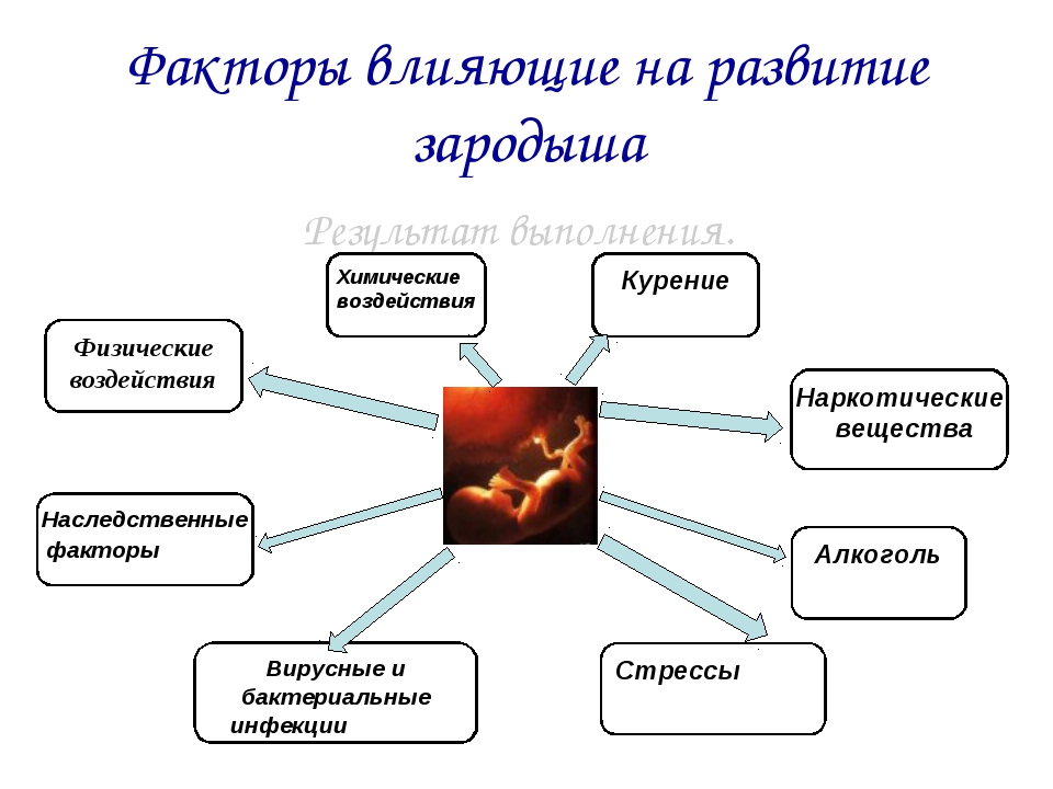 Влияние окружающей на развитие организмов. Факторы влияющие на развитие зародыша схема. Влияние внешней среды на развитие эмбриона. Схема влияние факторов среды на развитие плода. Перечислите факторы влияющие на ход развития зародыша.