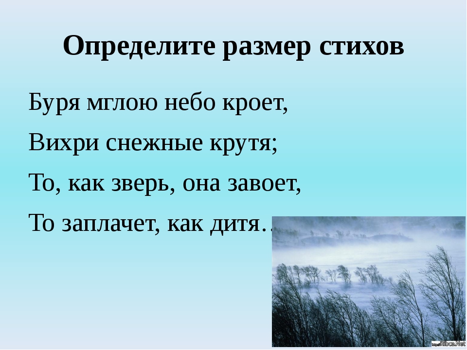 Определите способ рифмовки и стихотворный размер составьте схему буря мглою небо кроет