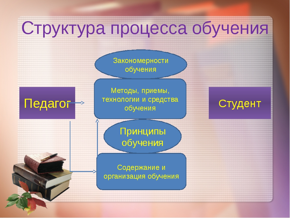 Презентация на тему соотношение обучения и развития