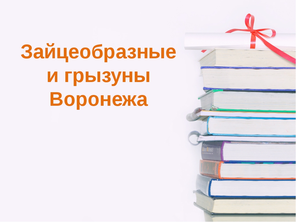 Презентации краеведение воронежской области