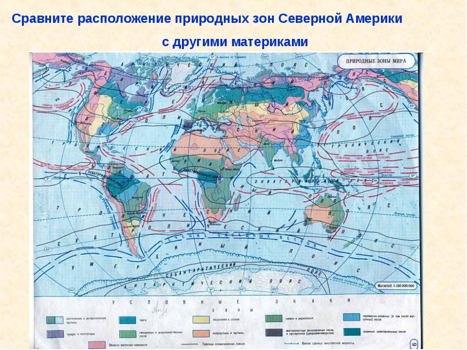 Опишите одну из природных зон материка используя план приложения 7 класс география