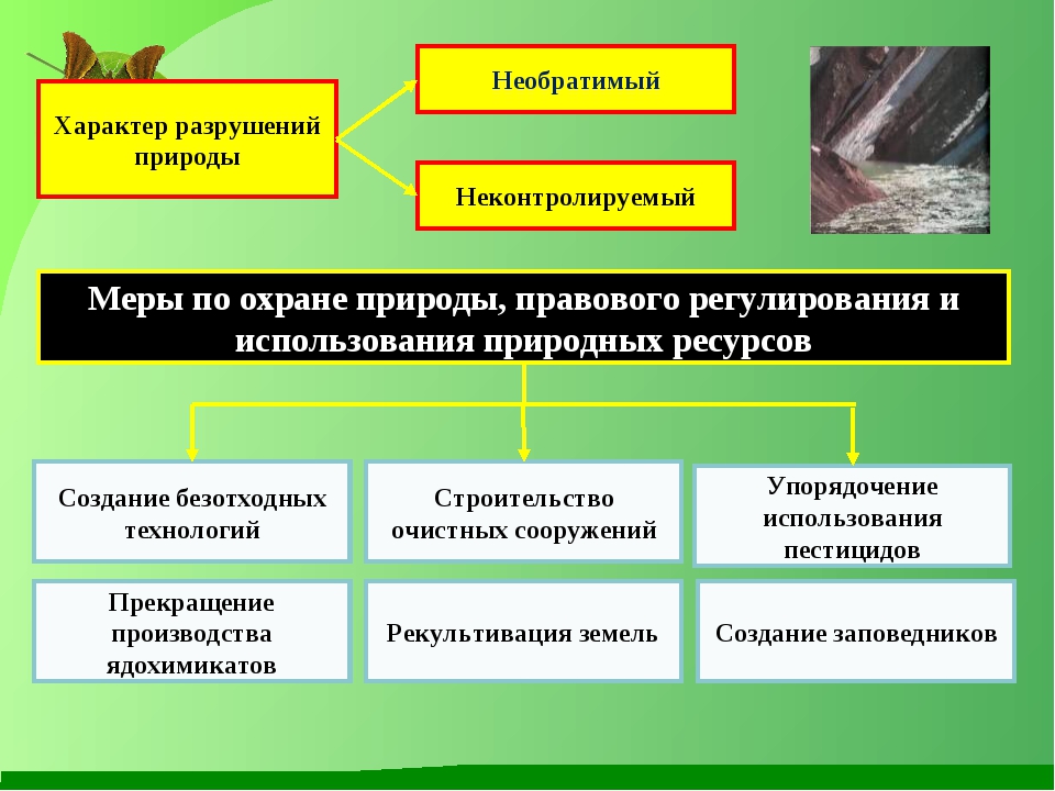 Презентация по теме человек и природа 7 класс обществознание