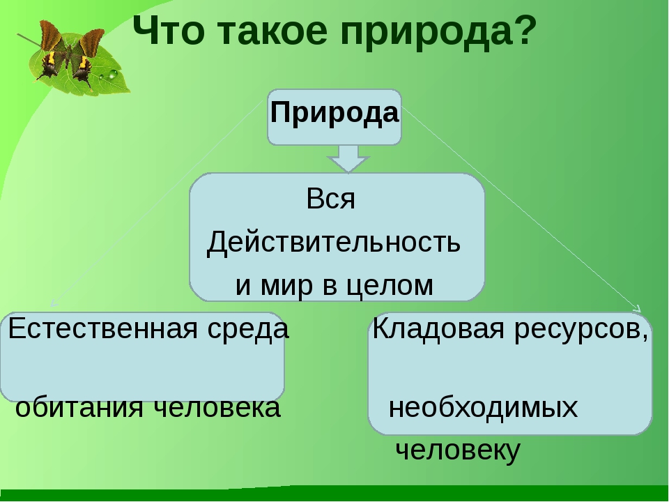 Природа урок 3 класс презентация