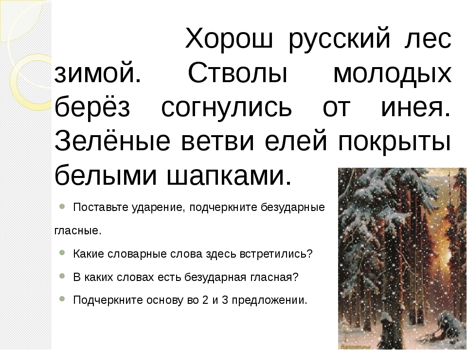 Текст в зеленом русском лесу. Хорош русский лес зимой стволы молодых берез согнулись от инея. Хорош зимой русский лес. Предложение на тему лес. Русский лес текст.