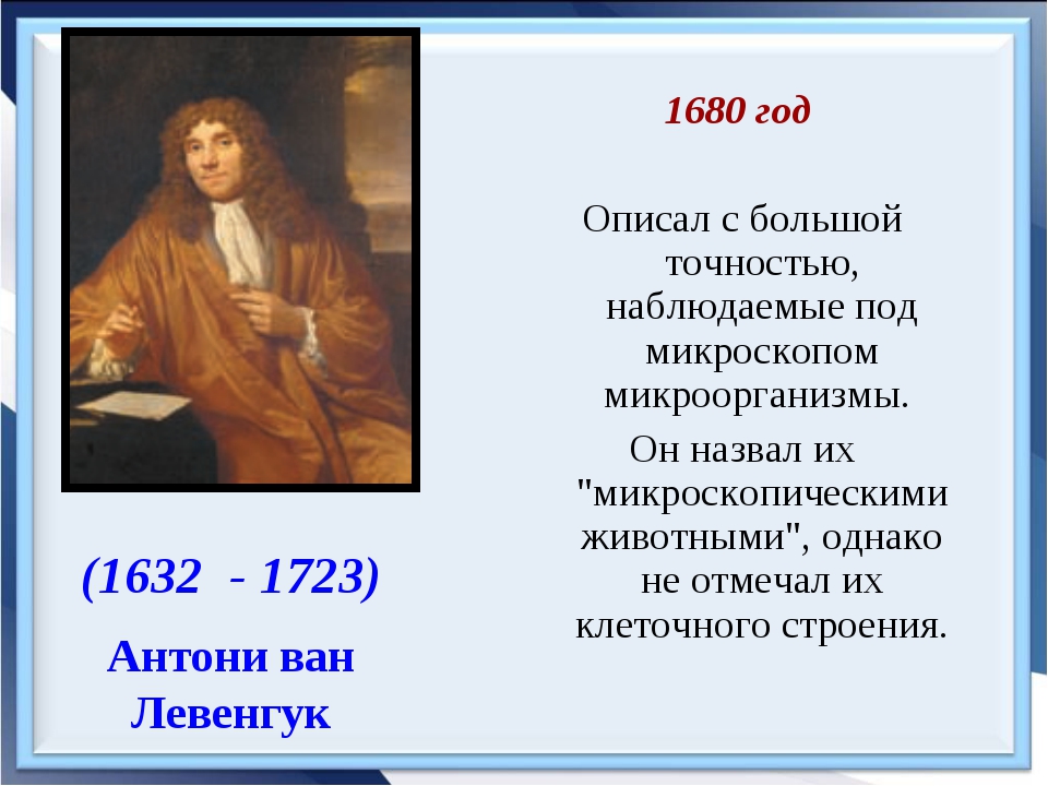 Какой метод использовал антони ван левенгук