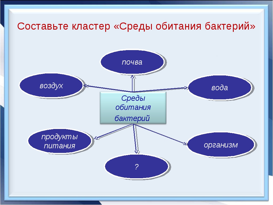 Составьте кластер по видам компьютерной памяти праздники день рождения