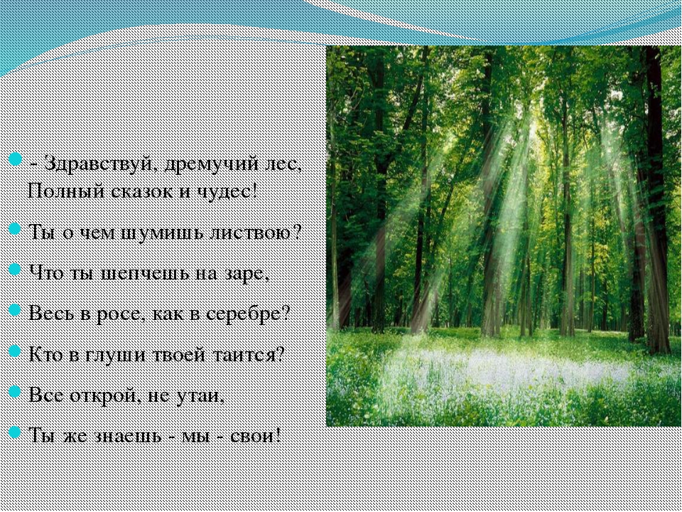 Слова песни в лесу. Здравствуй лес дремучий лес полный сказок и чудес. Стих Здравствуй лес. Стихи о дремучем лесе. Песня про лес.