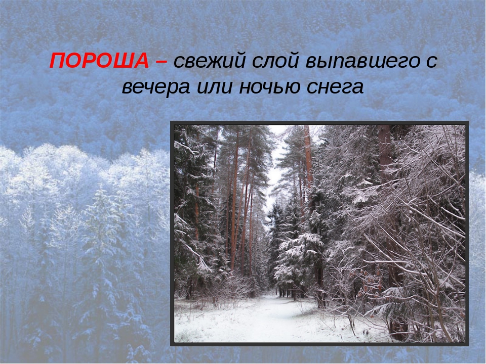 Каким бывает снег 2 класс литературное чтение. Пороша. Пороша Есенин. Стих пороша. Стих со словом пороша.