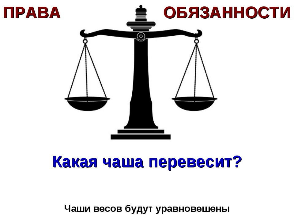 Организация про право. Ответственность в праве.