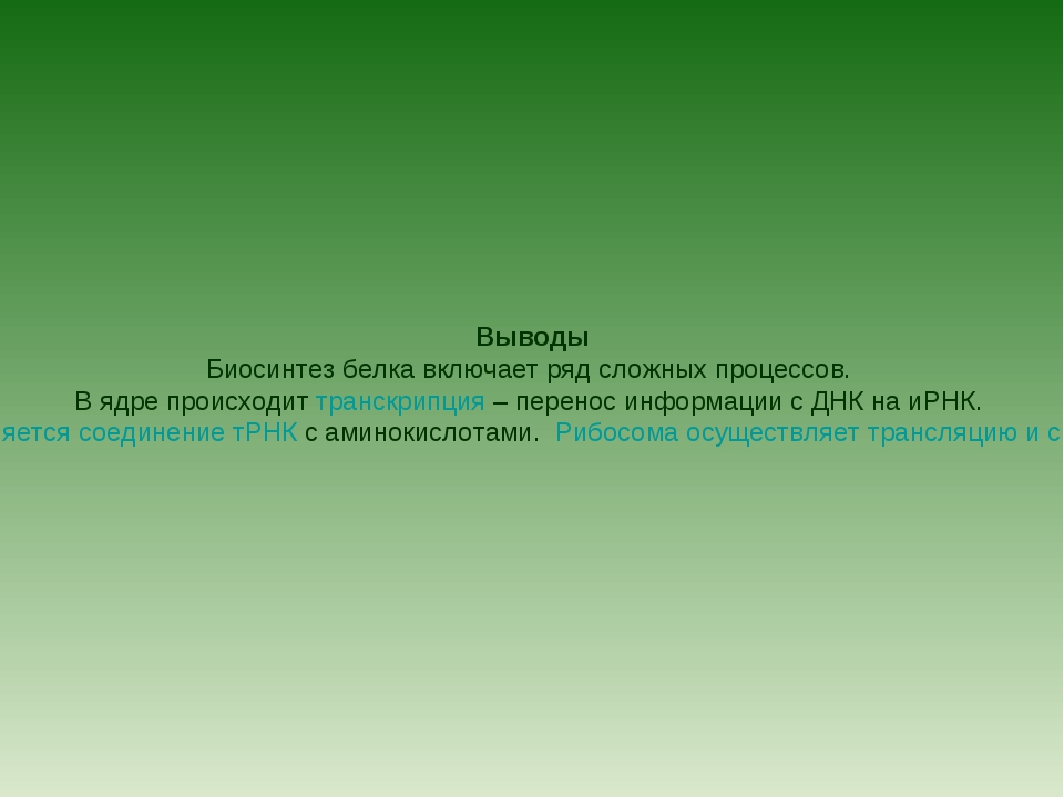 Может ли существовать ос в ядре которой отсутствуют функции поддержки файловой системы