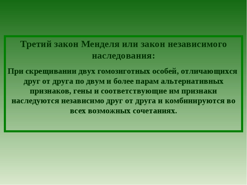 Разработка урока " Решение генетических задач на
