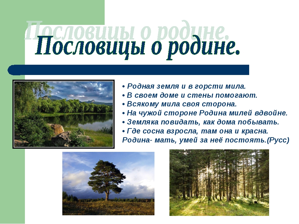 Пословицы о родине. Пословицы и поговорки о родной земле. Пословицы о своей родине. Пословицы о родной земле.