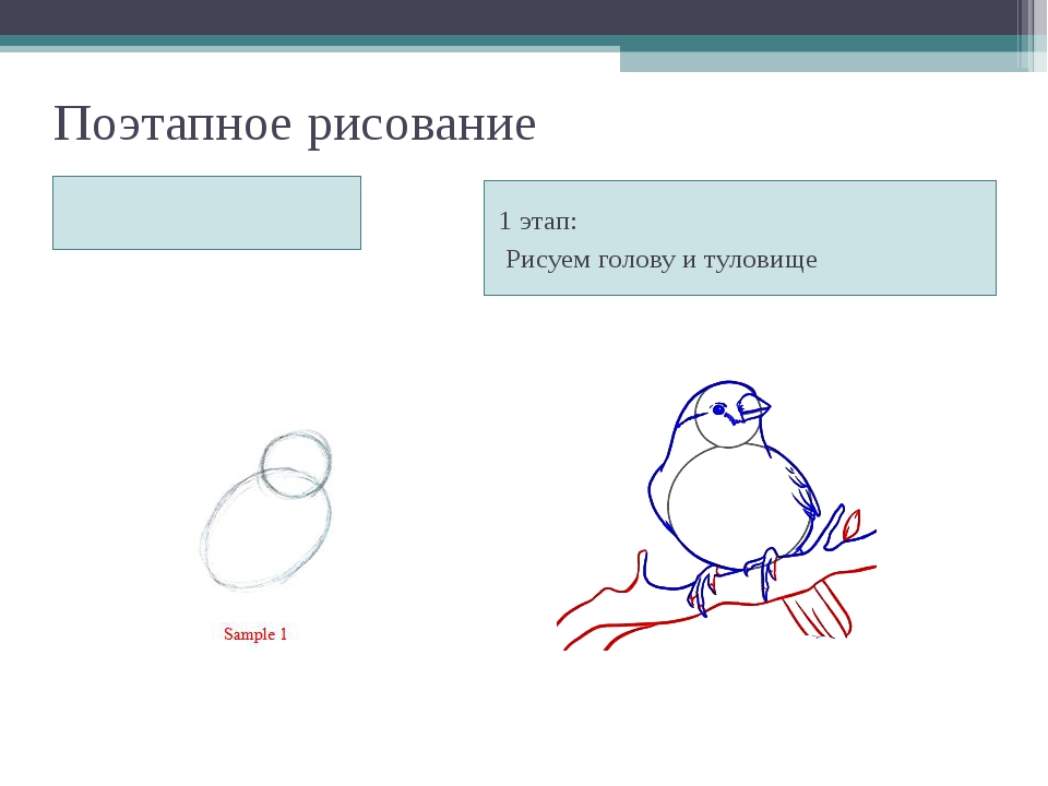 Презентация рисуем поэтапно