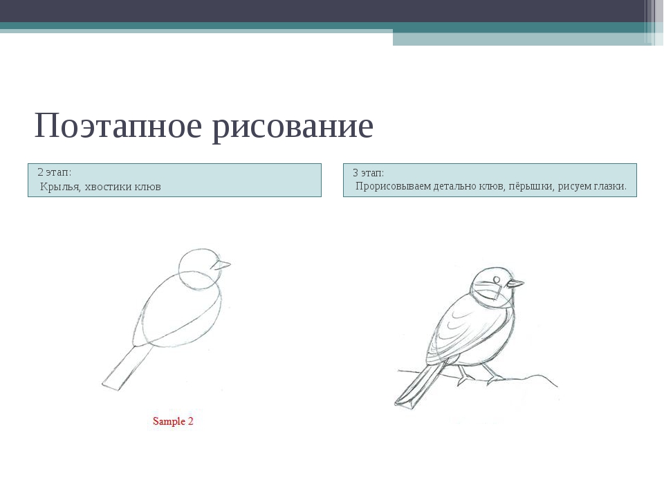 Презентация по изо 3 класс поэтапное рисование