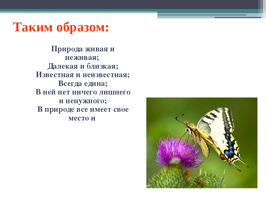 Примеры растений живой природы. Стихотворение про живую и неживую природу. Стих про неживую природу для детей. Стих Живая и не жива, природа. Стихотворение о неживой природе для детей.