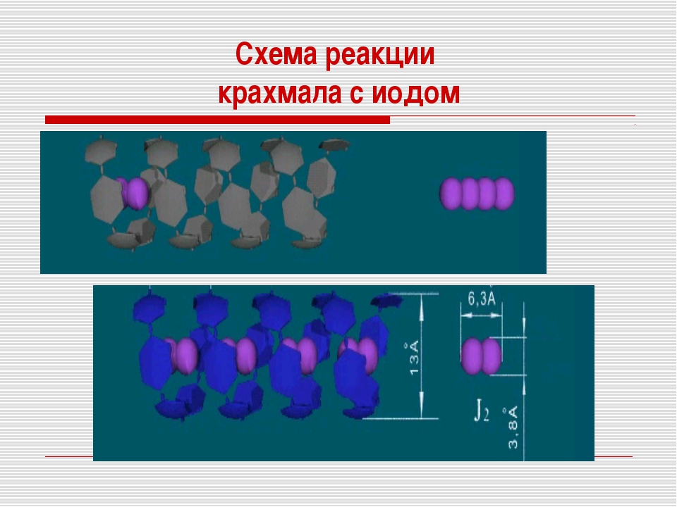 Схема гидролиза крахмала