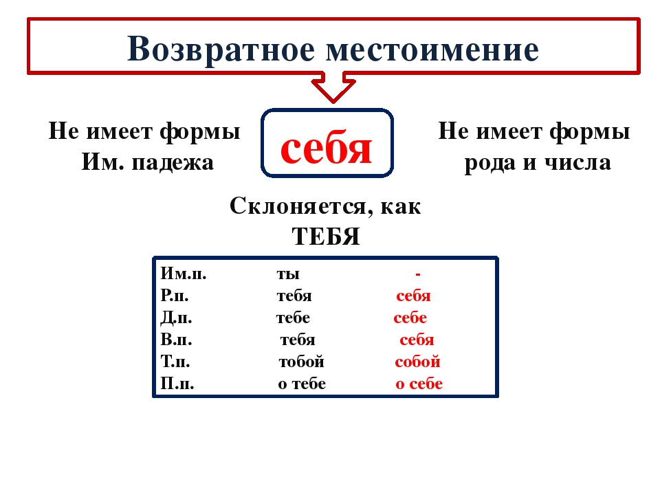 Урок возвратное местоимение себя 6 класс ладыженская