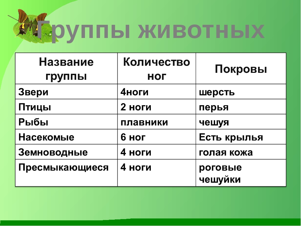 Какие бывают животные презентация окружающий мир 2 класс презентация