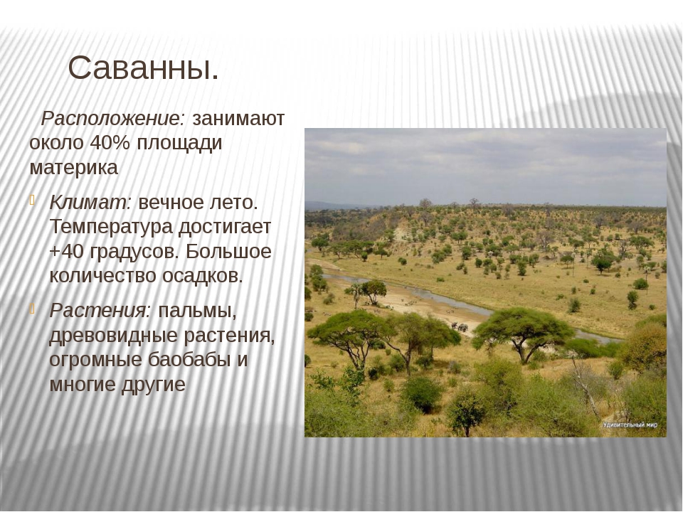 занимает 40 площади материказайм под залог недвижимости москва