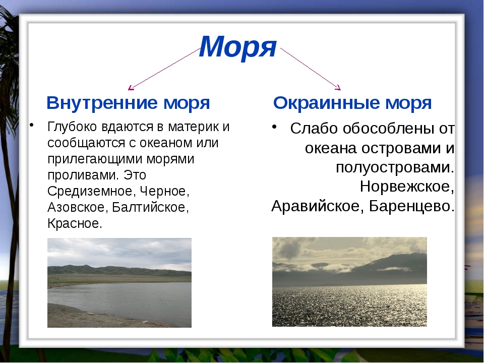 Моря бывают