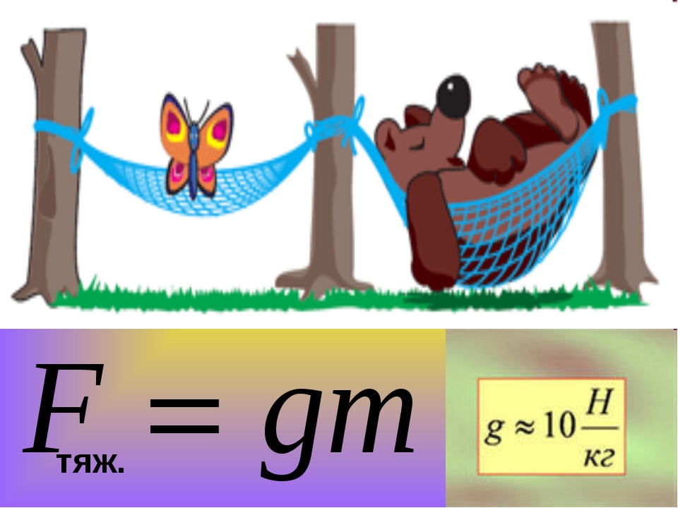 Вес изображения. Связь между силой тяжести и весом тела. Связь между силой тяжести и массой тела в физике. Вес тела рисунок физика. Примеры силы веса.
