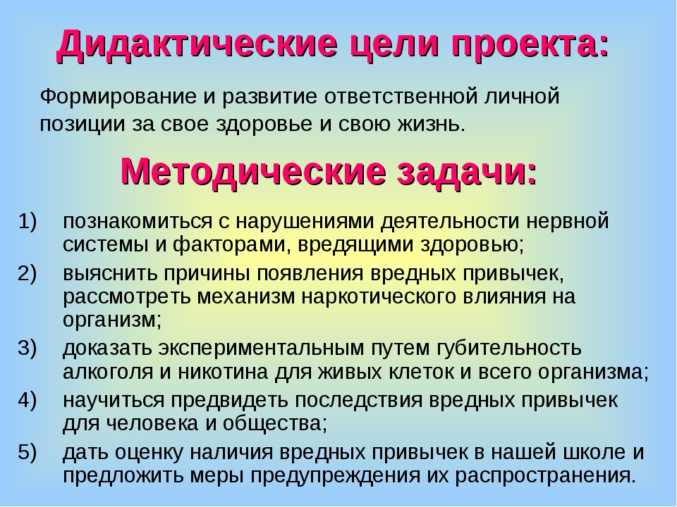 Сколько времени существует проект как система деятельности