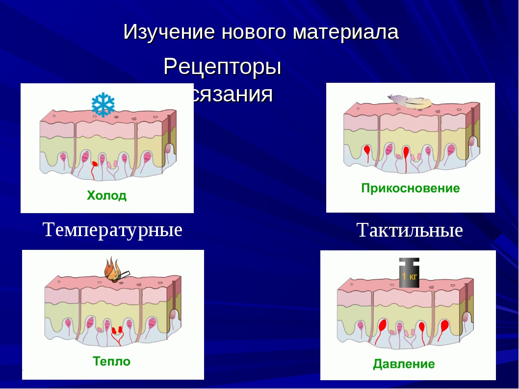 Анализатор равновесия схема