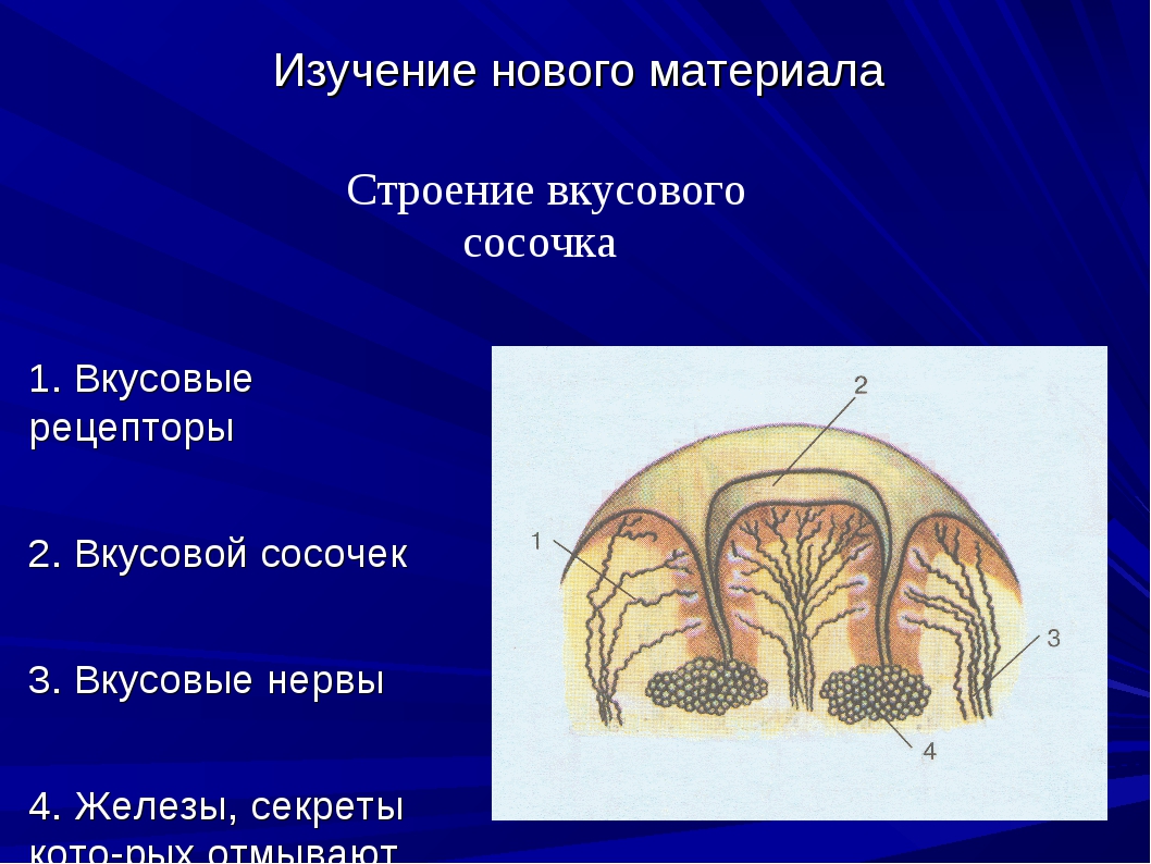 Анализатор равновесия схема